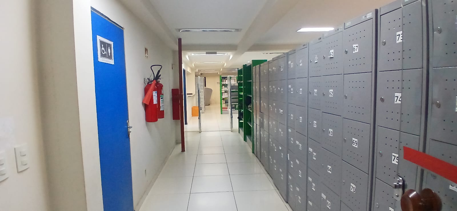 Estrutura do IFPA