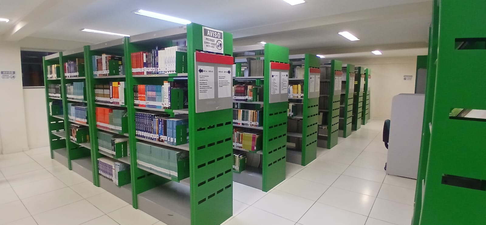 Estrutura do IFPA