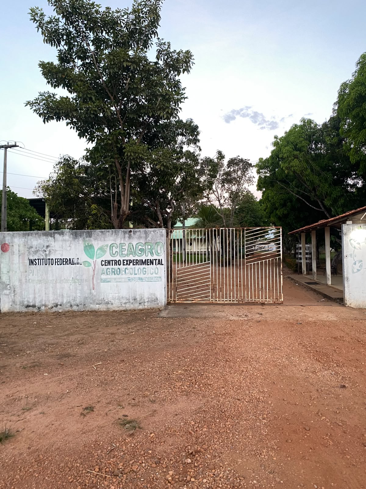 Estrutura do IFPA