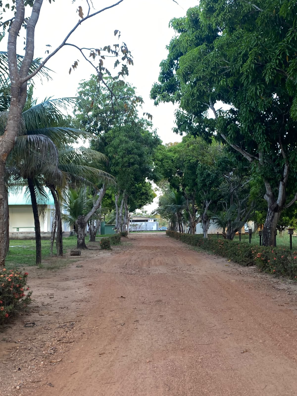 Área de prática do CEAGRO