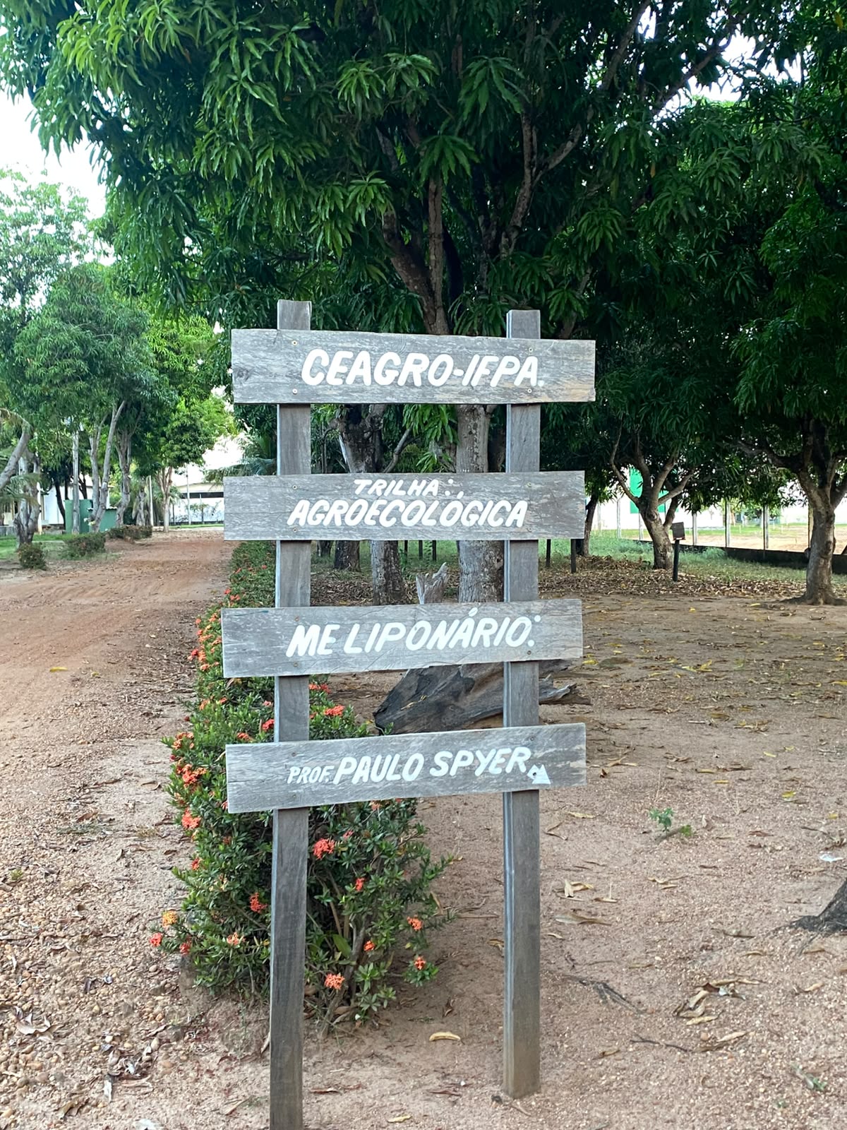 Placas de sinalização
