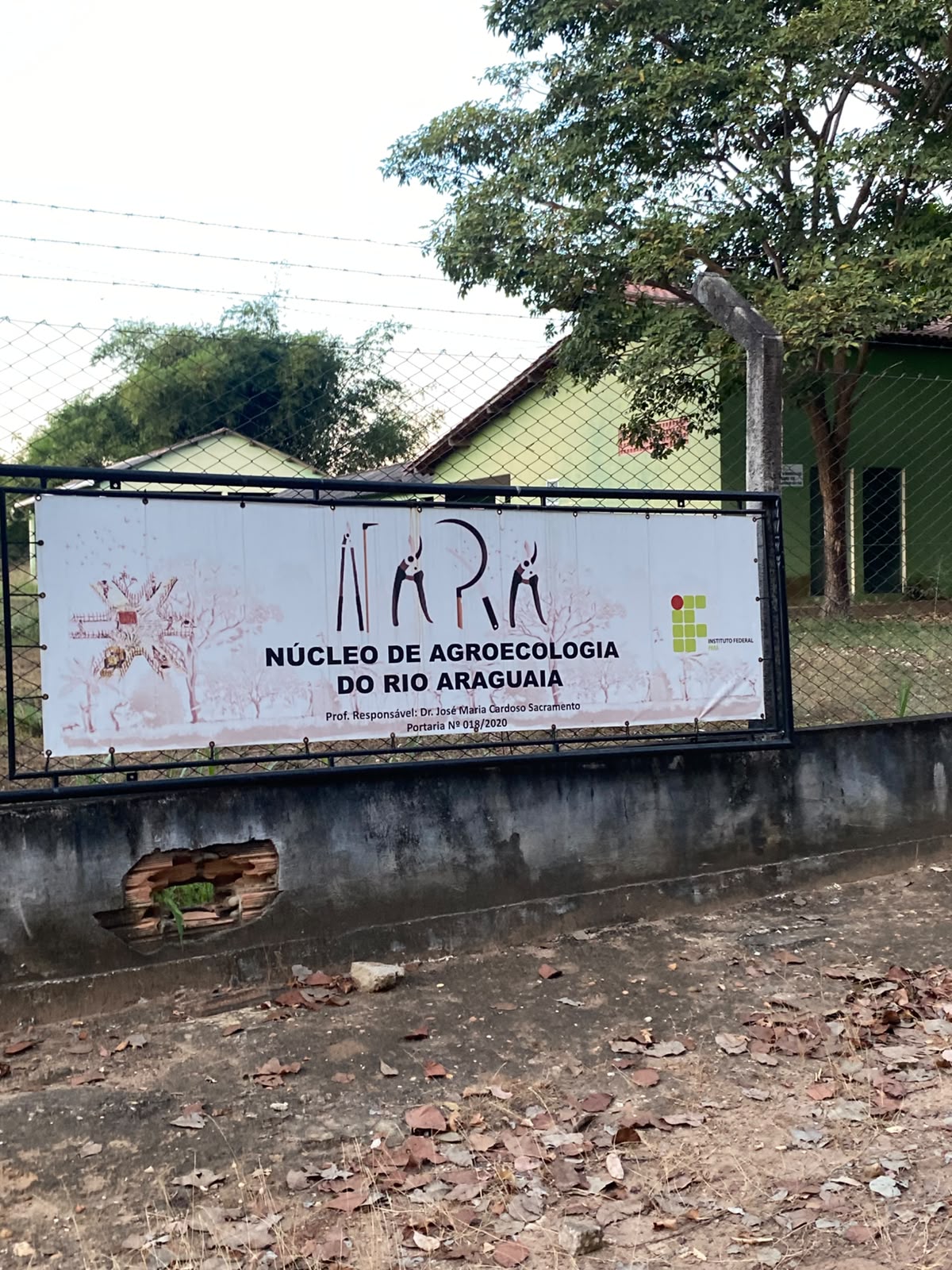 Orientação visual